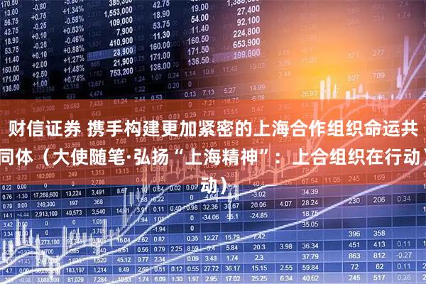 财信证券 携手构建更加紧密的上海合作组织命运共同体（大使随笔·弘扬“上海精神”：上合组织在行动）