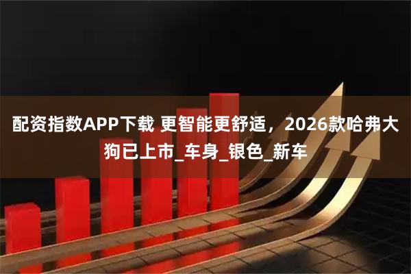 配资指数APP下载 更智能更舒适，2026款哈弗大狗已上市_车身_银色_新车
