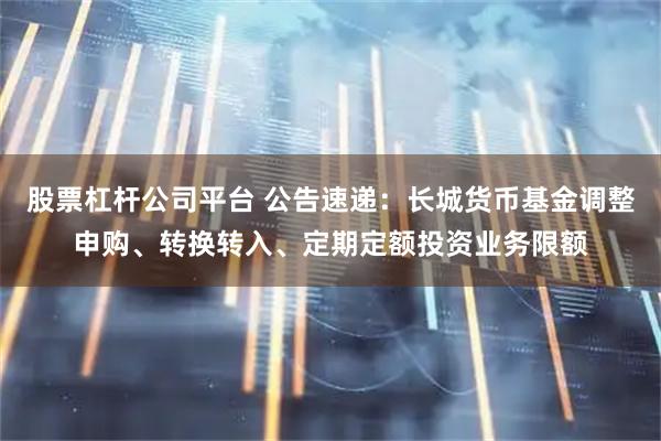 股票杠杆公司平台 公告速递：长城货币基金调整申购、转换转入、定期定额投资业务限额
