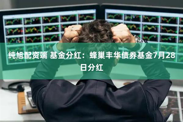 纯旭配资端 基金分红：蜂巢丰华债券基金7月28日分红